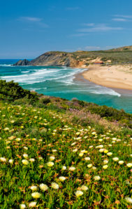 Amoreira beach, the Costa Vicentina, Algarve, Portugal, Amoreira beach, the Costa Vicentina, Algarve, Portugal,